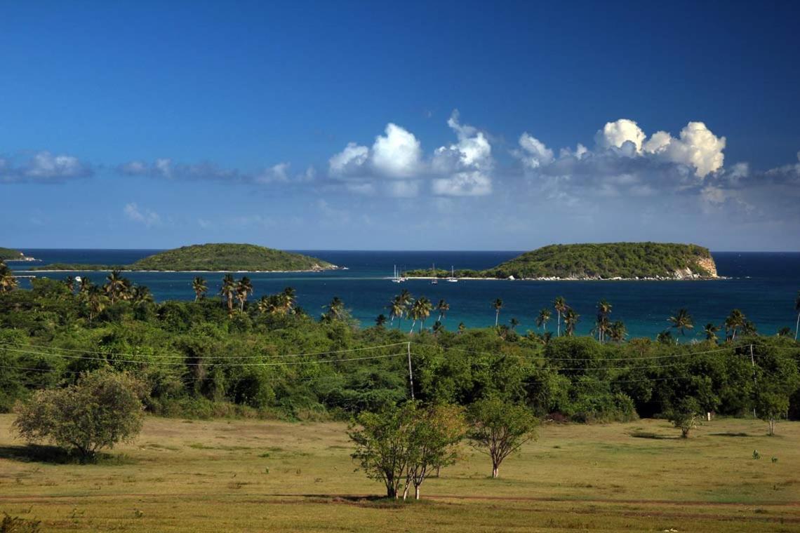 Hotel Hacienda Tamarindo Vieques Esterno foto
